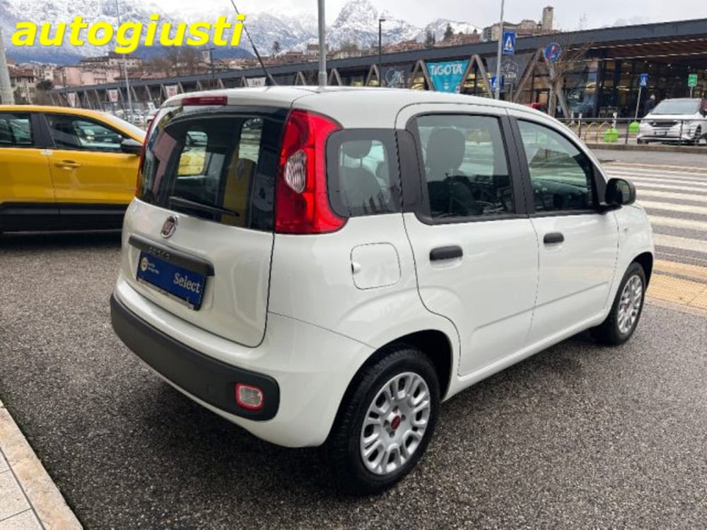 Fiat Panda usata a Belluno (3)