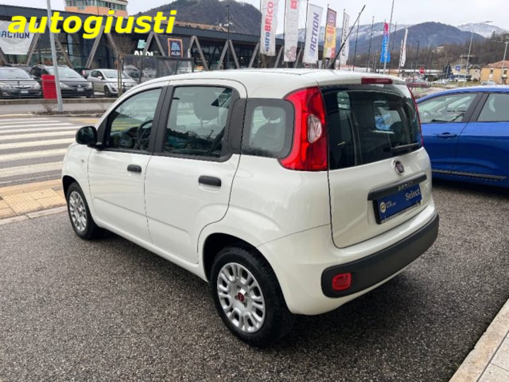 Fiat Panda usata a Belluno (4)