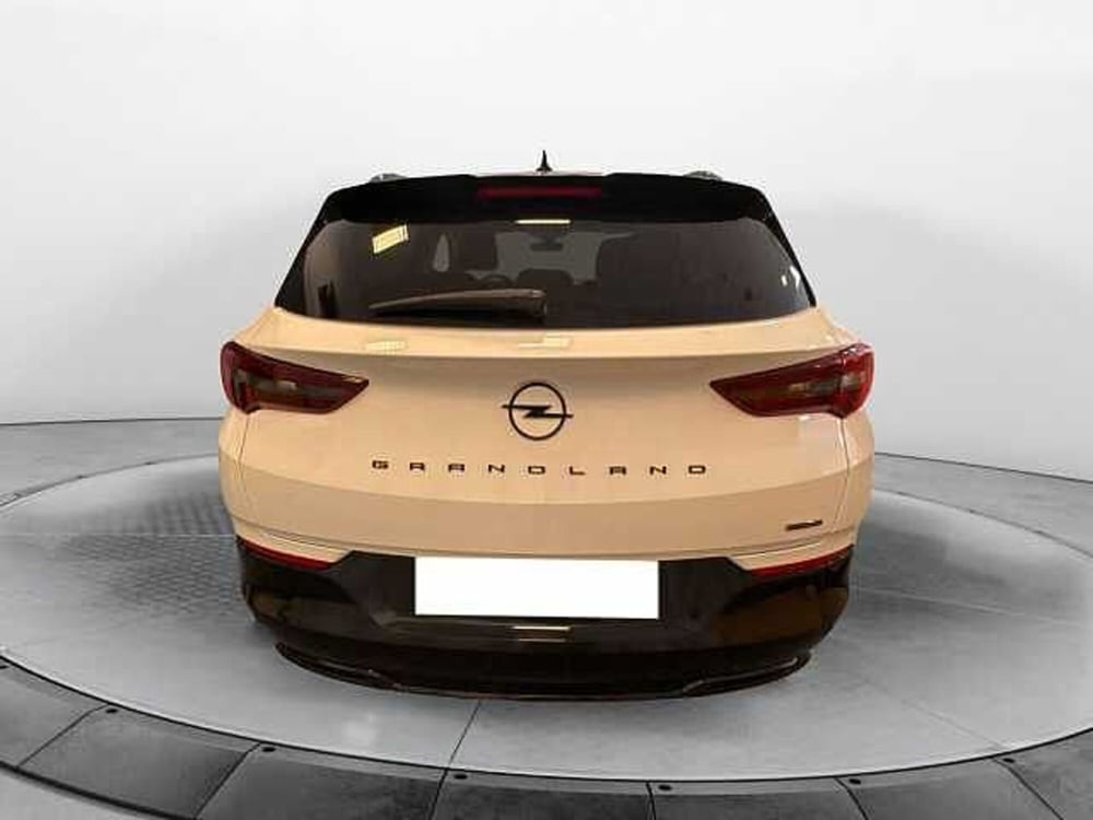 Opel Grandland nuova a Siena (4)