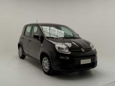 Fiat Panda Cross Cross 1.0 FireFly S&amp;S Hybrid  del 2023 usata a Pratola Serra