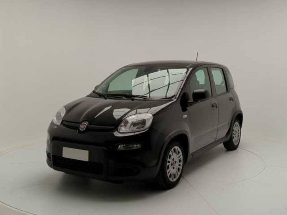 Fiat Panda Cross usata a Avellino (3)