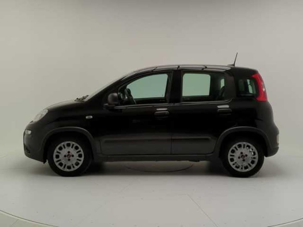 Fiat Panda Cross usata a Avellino (4)