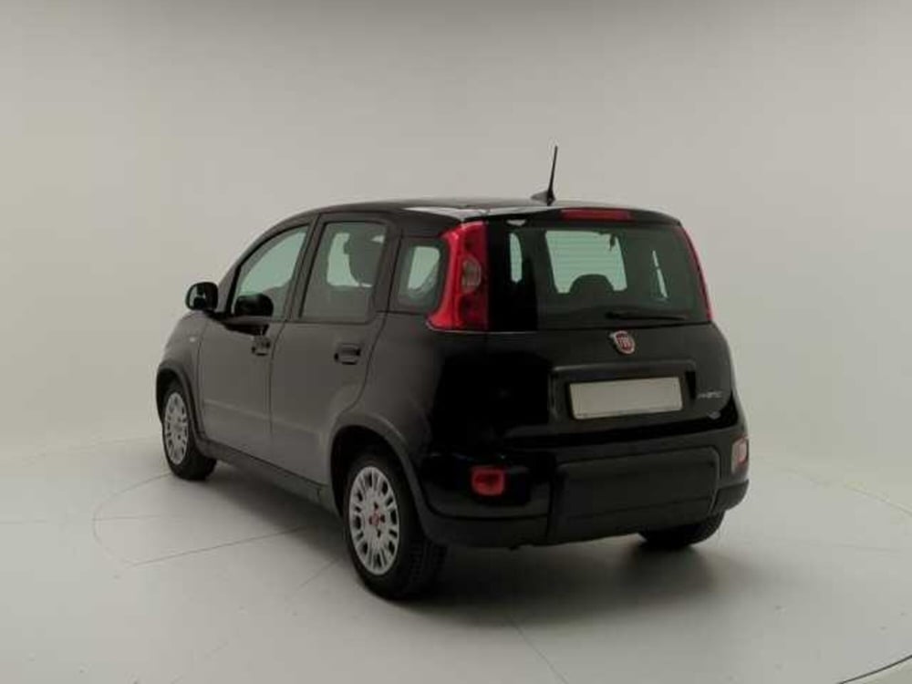 Fiat Panda Cross usata a Avellino (5)