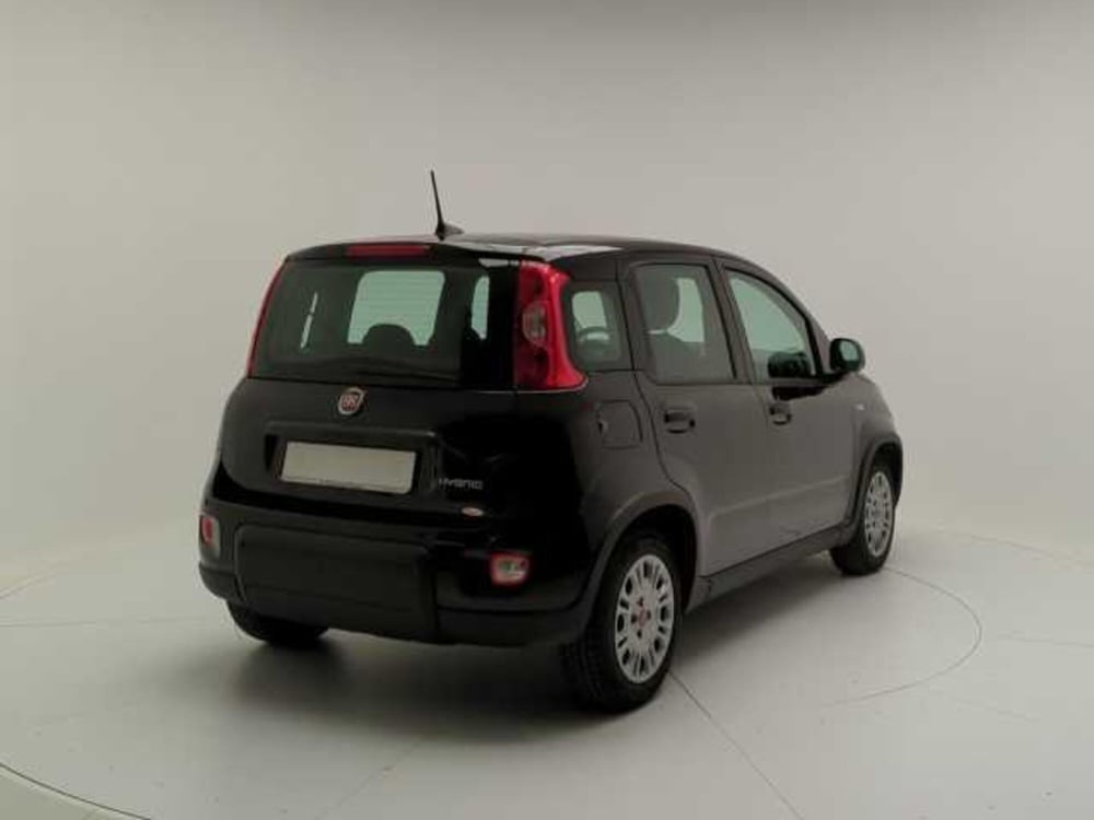 Fiat Panda Cross usata a Avellino (7)