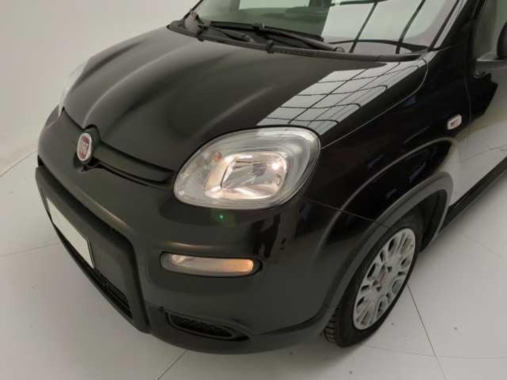 Fiat Panda Cross usata a Avellino (8)