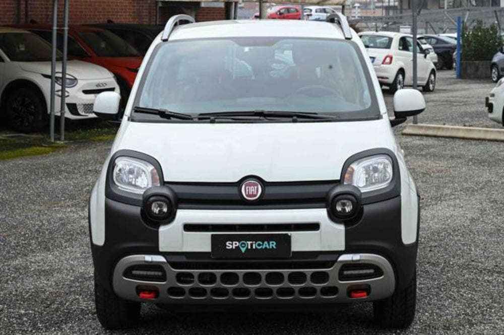 Fiat Panda Cross usata a Torino (2)