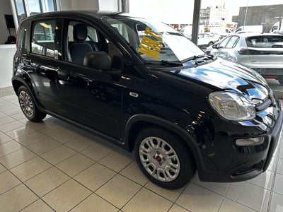 Fiat Panda 1.2 EasyPower  nuova a Moncalieri