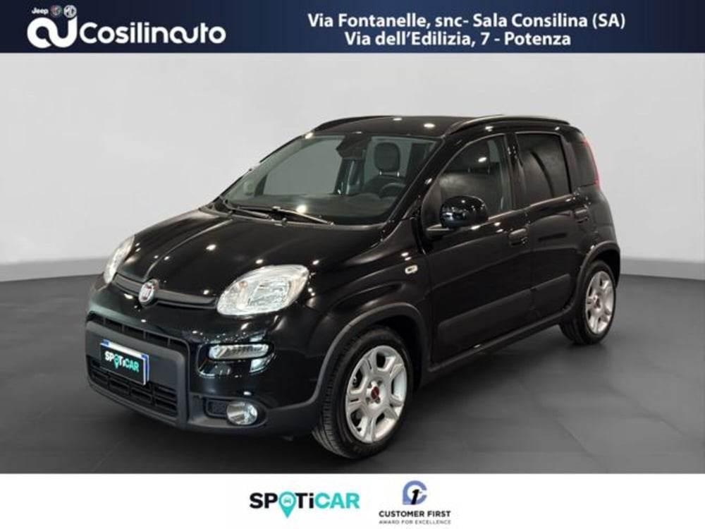 Fiat Panda Cross usata a Salerno