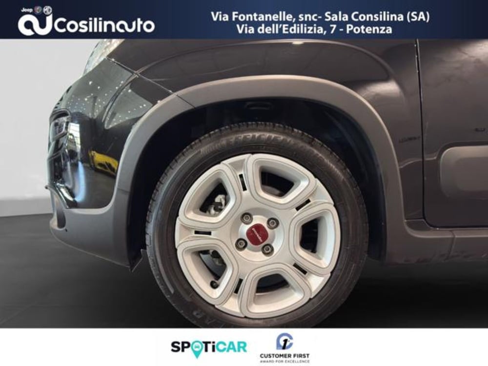 Fiat Panda Cross usata a Salerno (19)