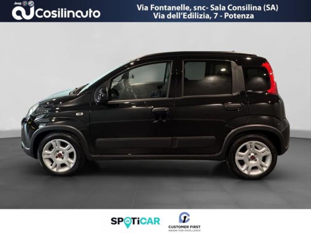 Fiat Panda Cross usata a Salerno (2)