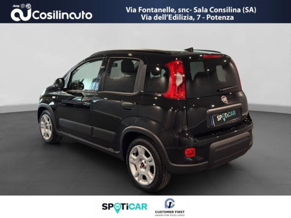 Fiat Panda Cross usata a Salerno (3)