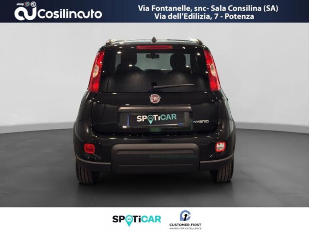 Fiat Panda Cross usata a Salerno (4)