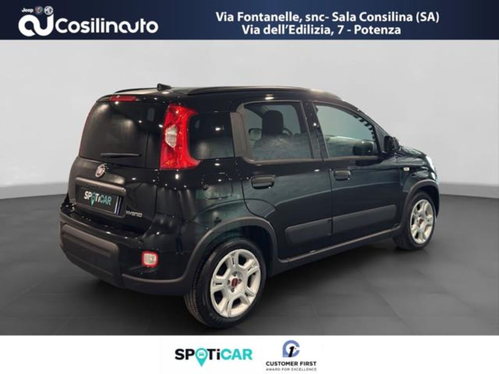 Fiat Panda Cross usata a Salerno (5)