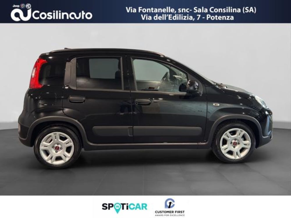 Fiat Panda Cross usata a Salerno (6)