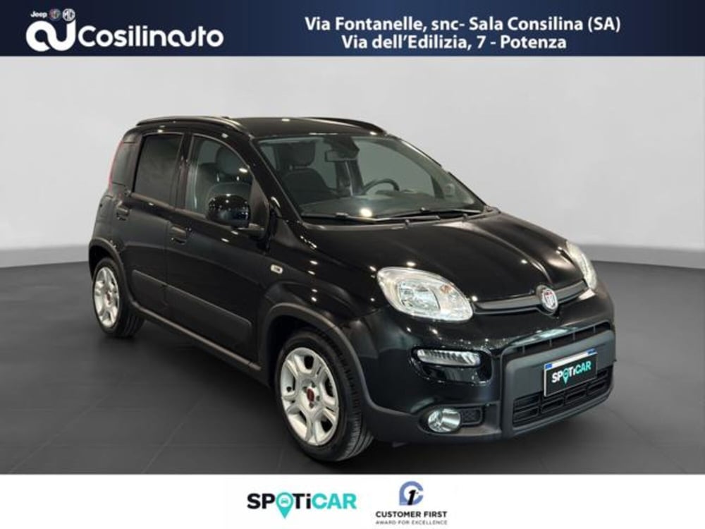 Fiat Panda Cross usata a Salerno (7)