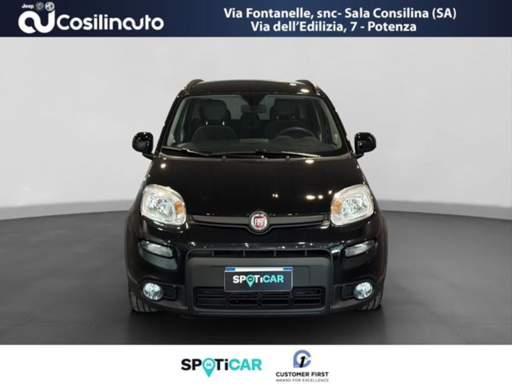 Fiat Panda Cross usata a Salerno (8)