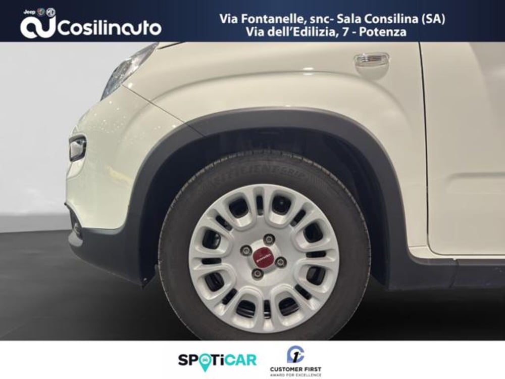 Fiat Panda usata a Salerno (18)