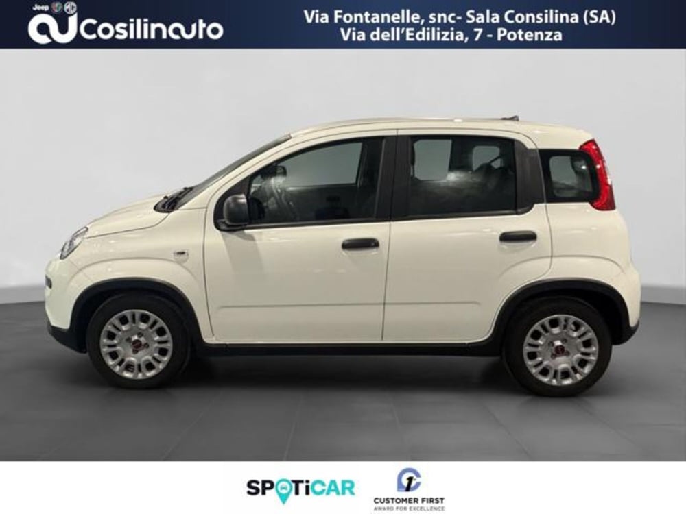 Fiat Panda usata a Salerno (2)