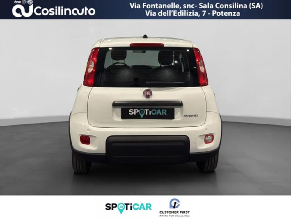 Fiat Panda usata a Salerno (4)