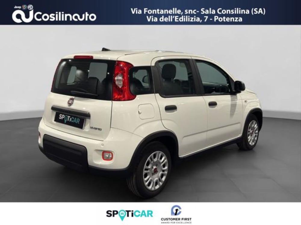 Fiat Panda usata a Salerno (5)