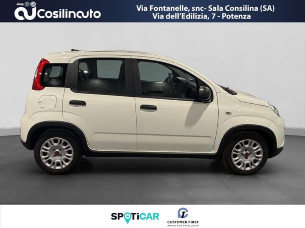 Fiat Panda usata a Salerno (6)