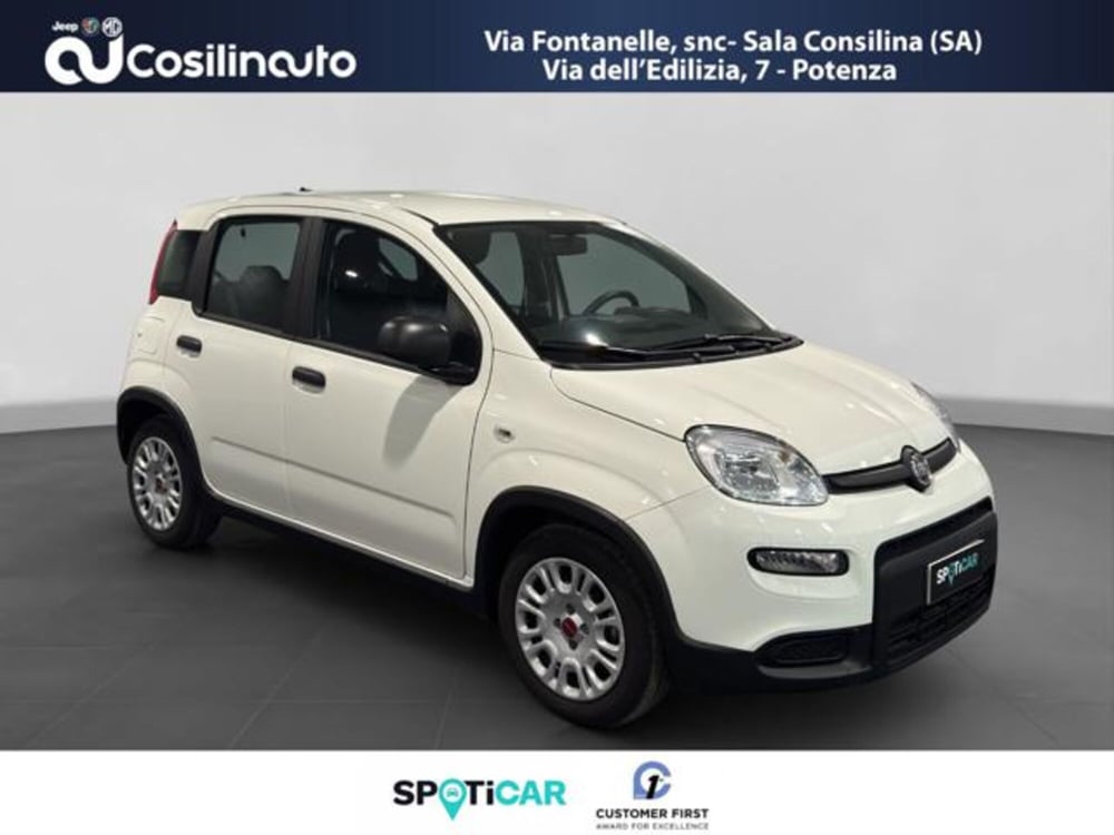 Fiat Panda usata a Salerno (7)