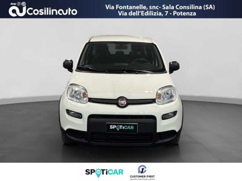 Fiat Panda usata a Salerno (8)