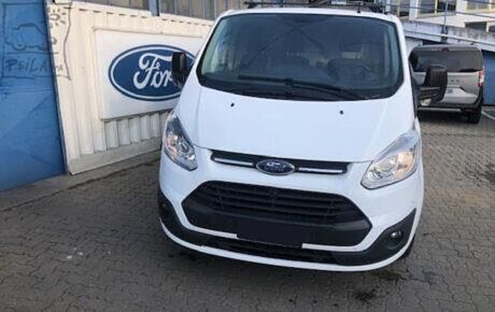 Ford Transit Custom  usata a Torino (2)