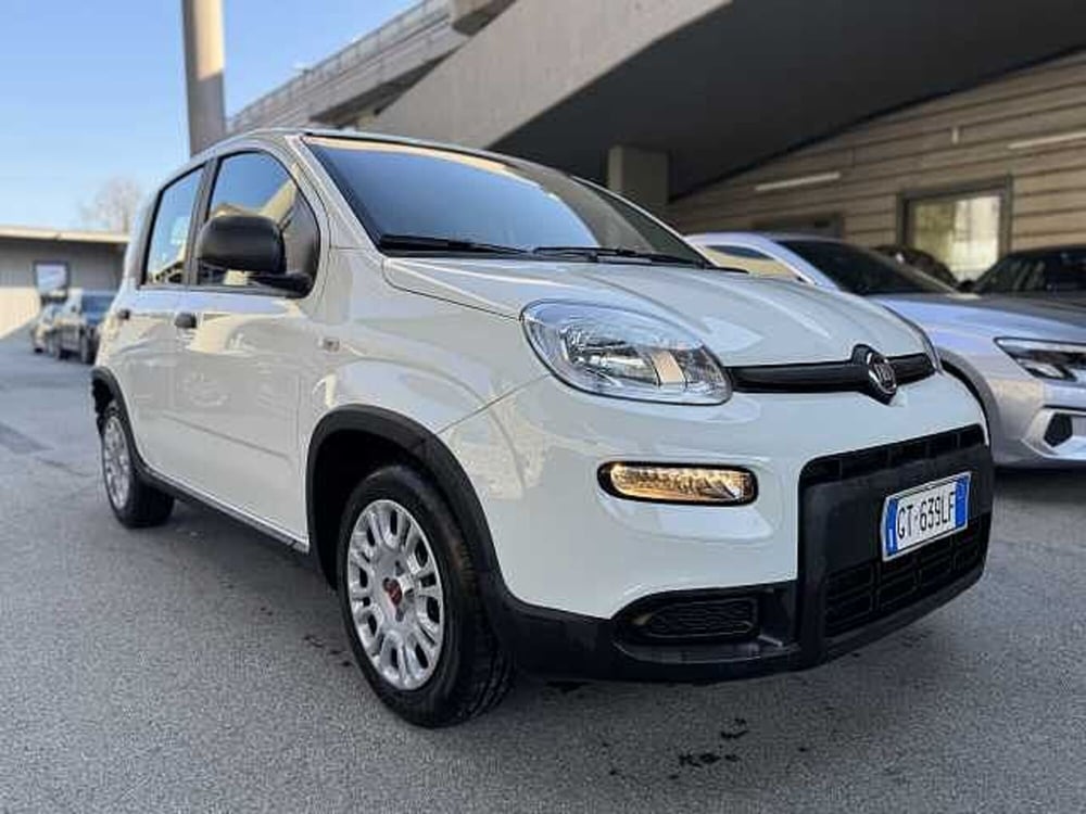 Fiat Panda usata a Genova