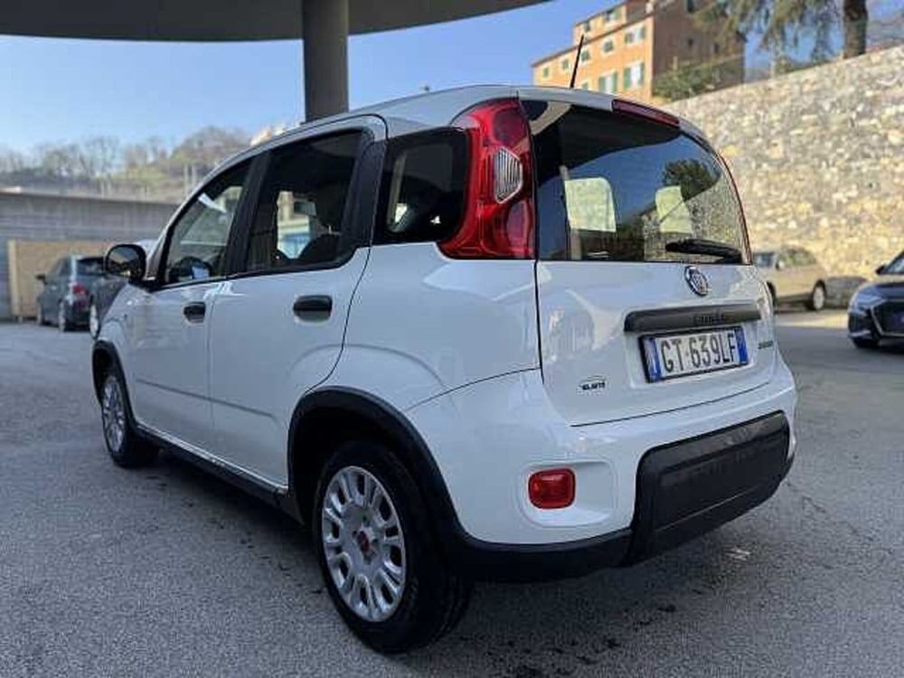 Fiat Panda usata a Genova (2)