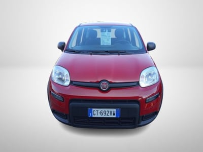 Fiat Panda 1.0 firefly hybrid s&amp;s 70cv 5p.ti nuova a San Giorgio a Liri