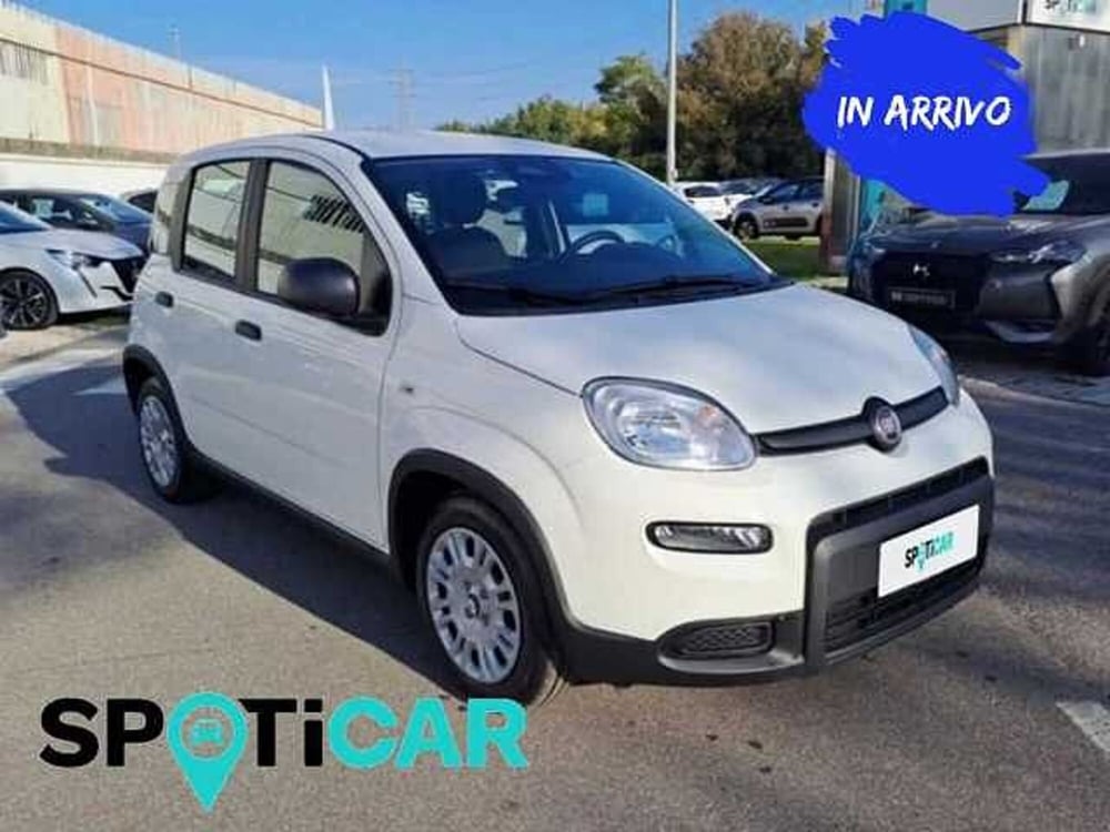 Fiat Panda Cross usata a Roma