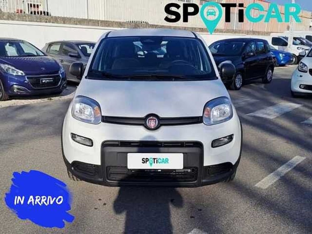 Fiat Panda Cross usata a Roma (2)