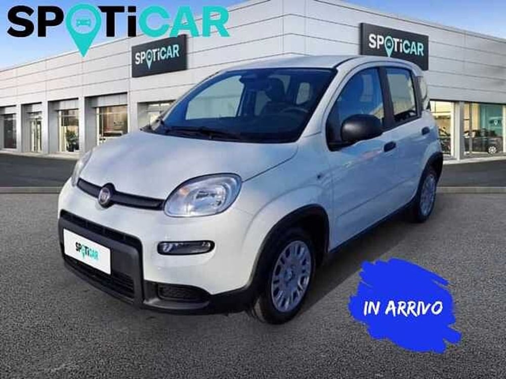 Fiat Panda Cross usata a Roma (3)