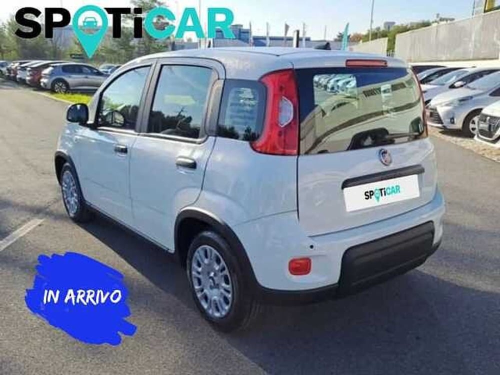 Fiat Panda Cross usata a Roma (4)