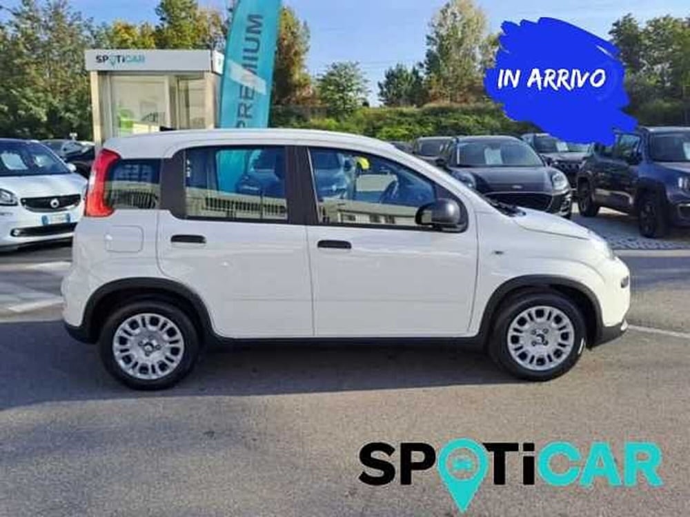 Fiat Panda Cross usata a Roma (5)