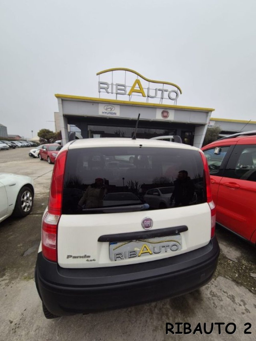 Fiat Panda usata a Cuneo (18)