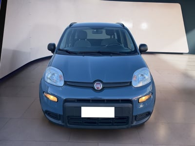 Fiat Panda 1.0 firefly hybrid s&amp;s 70cv 5p.ti del 2022 usata a Torino