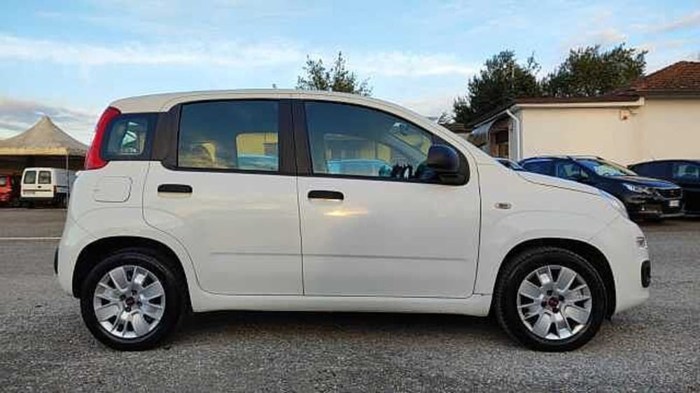 Fiat Panda usata a Firenze (10)