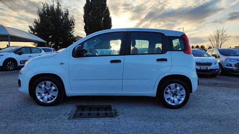 Fiat Panda usata a Firenze (3)