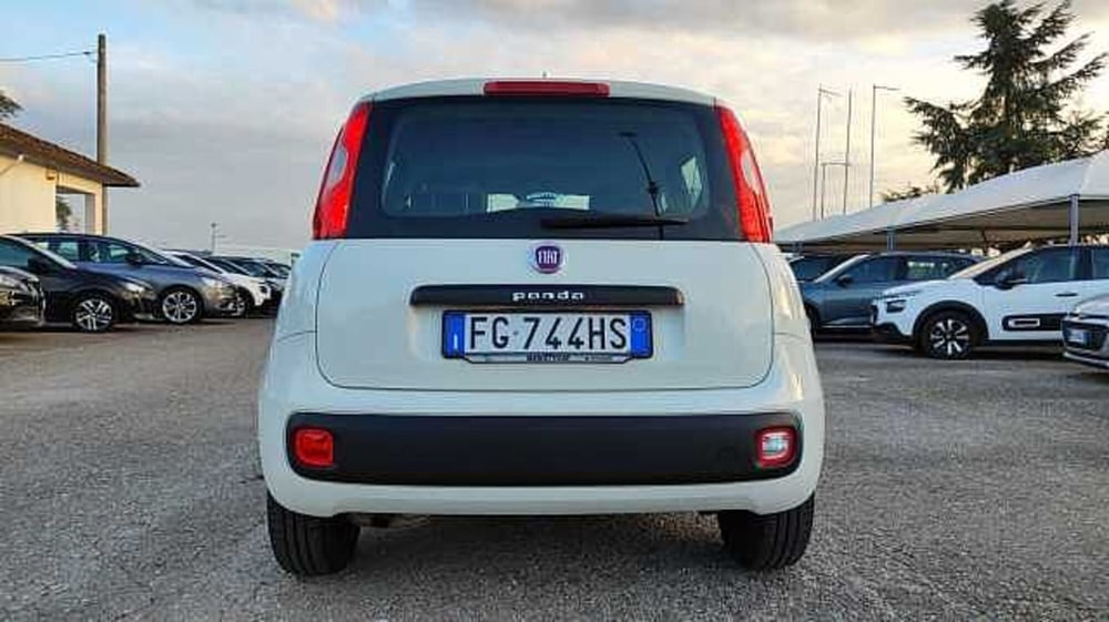 Fiat Panda usata a Firenze (7)