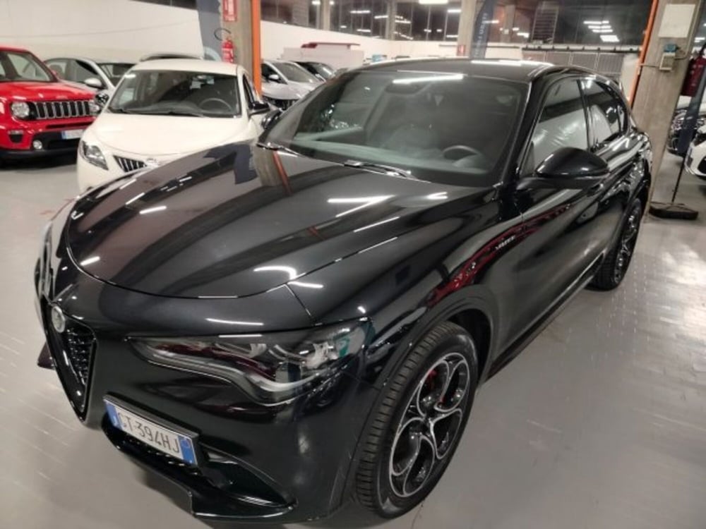 Alfa Romeo Stelvio usata a Forlì-Cesena (19)