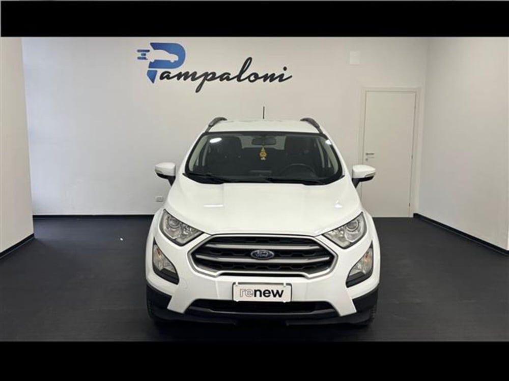 Ford EcoSport usata a Siena