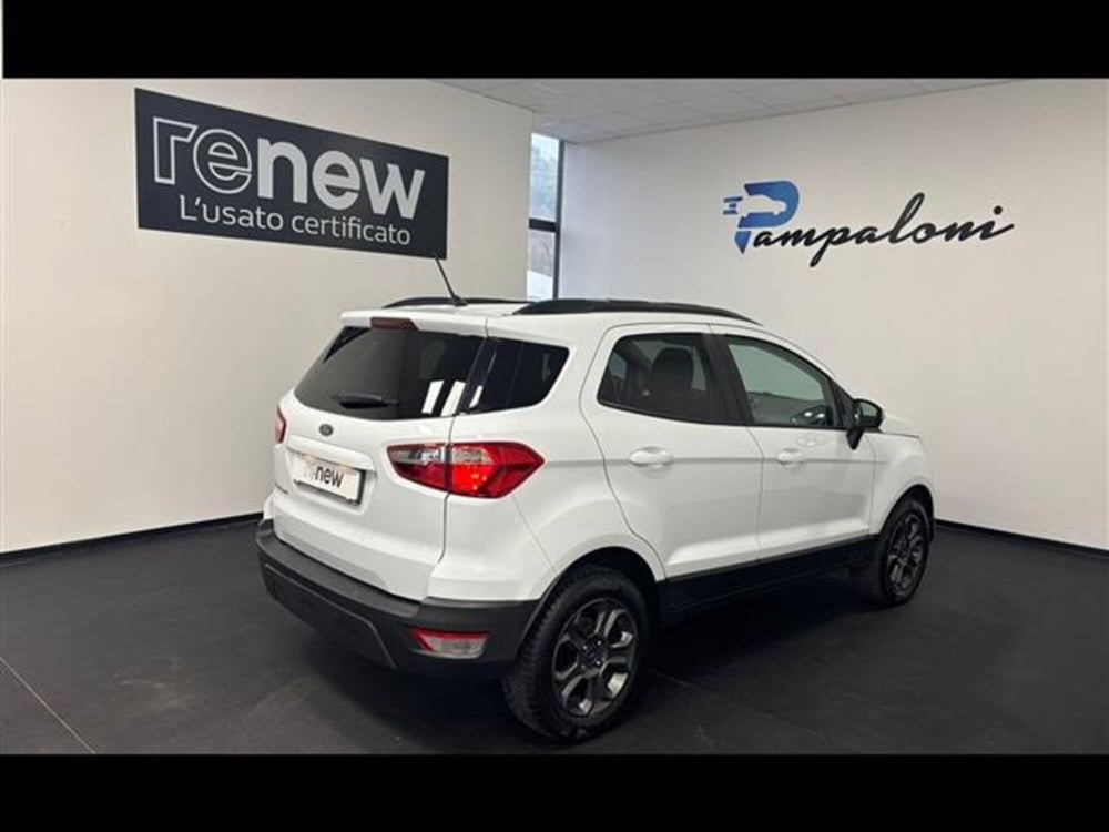 Ford EcoSport usata a Siena (10)