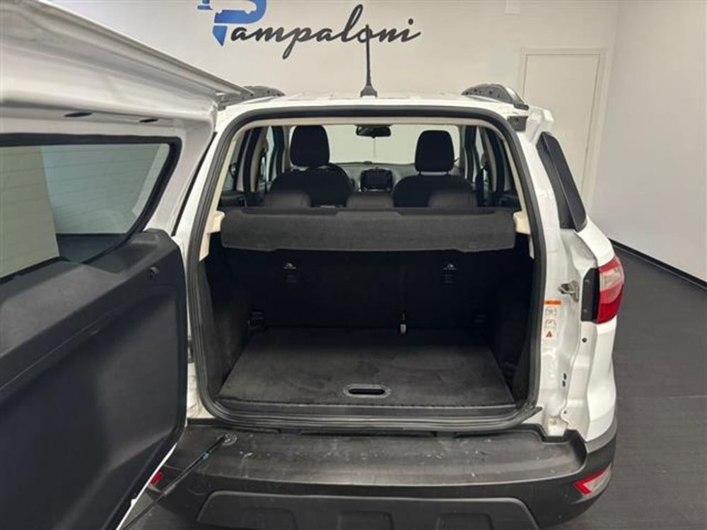 Ford EcoSport usata a Siena (12)