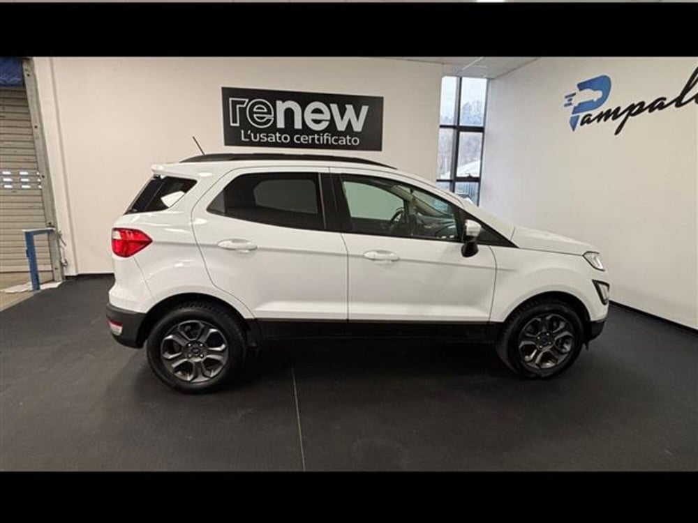 Ford EcoSport usata a Siena (9)