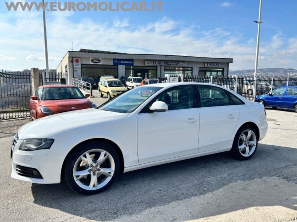 Audi A4 usata a Campobasso