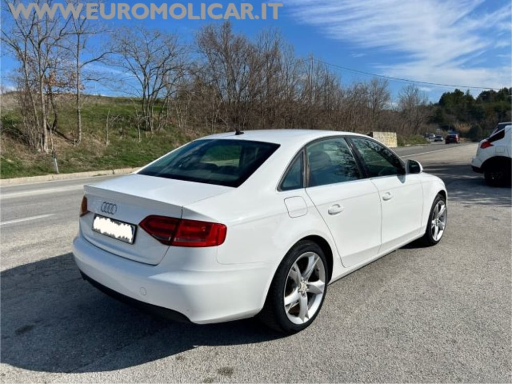 Audi A4 usata a Campobasso (11)