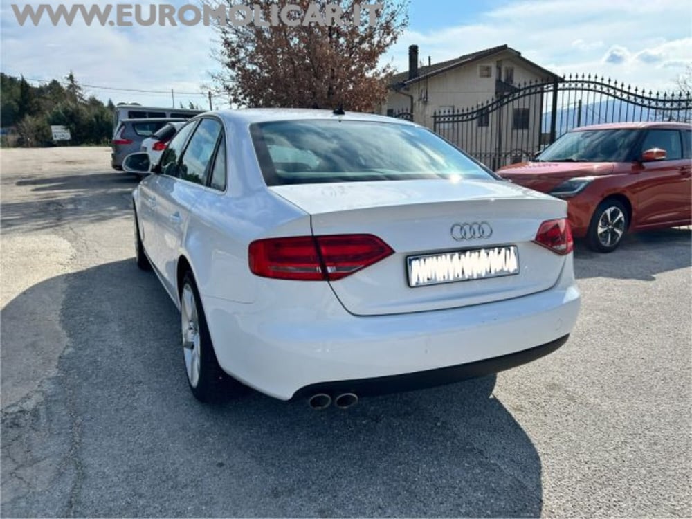 Audi A4 usata a Campobasso (12)