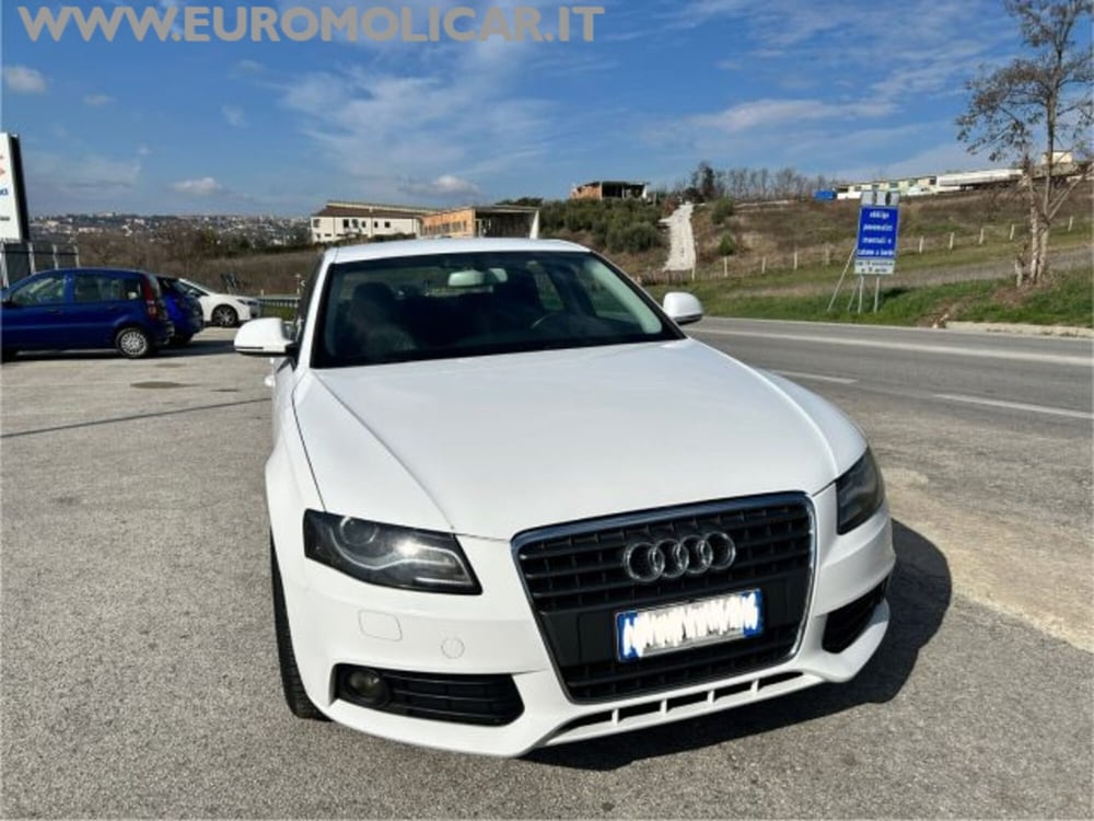 Audi A4 usata a Campobasso (17)